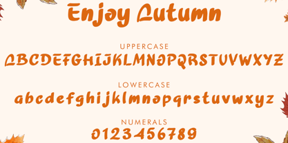 Enjoy Autumn Font Poster 4