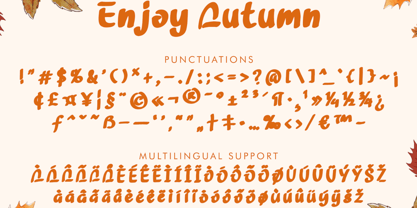 Enjoy Autumn Font Poster 5