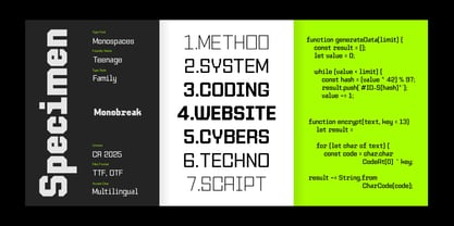 TF Monobreak Font Poster 8