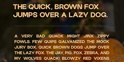 Carvello Font Poster 3