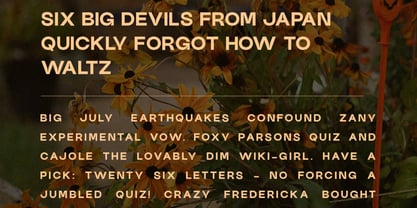 Carvello Font Poster 2