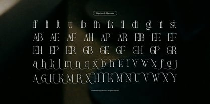 Yerindar Font Poster 12