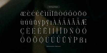 Yerindar Font Poster 11