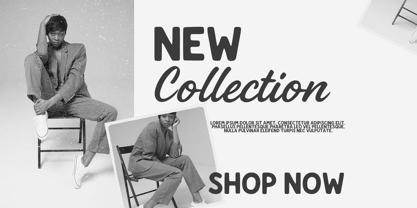 Sundary Beach Script duo Font Poster 3