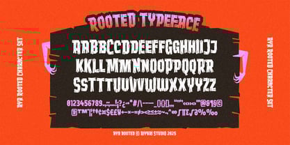 Ayr Rooted Font Poster 5