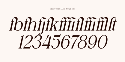 Avoxan Font Poster 15