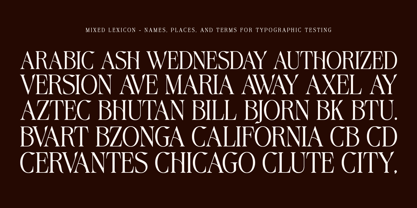 Avoxan Font Poster 10