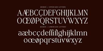 Avoxan Font Poster 12