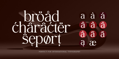 Avoxan Font Poster 9