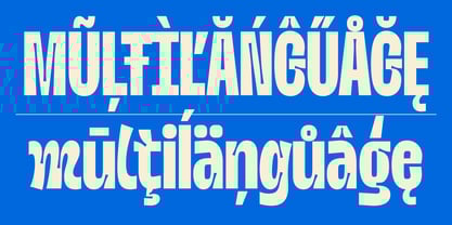 Nobulina Font Poster 9