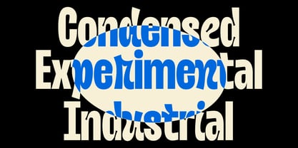 Nobulina Font Poster 7