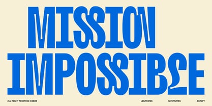 Nobulina Font Poster 5