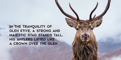 Glen Etive Font Poster 2