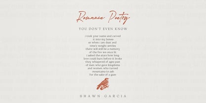 Majority Reminder Font Poster 10