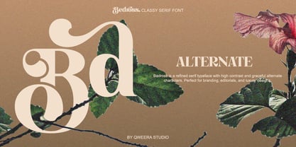 Bedross Font Poster 8