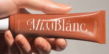 Native Designer Font Poster 5