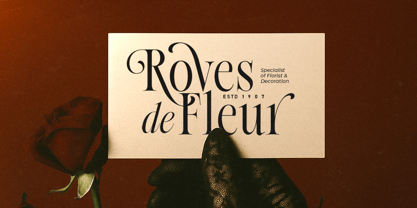 Native Designer Font Poster 6