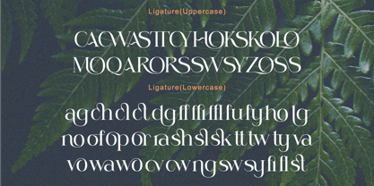 Lessway Font Poster 8