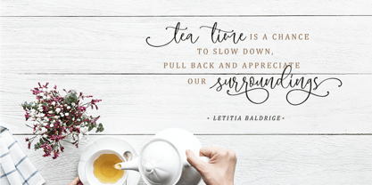 Megadine Font Poster 7