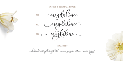 Megadine Font Poster 11