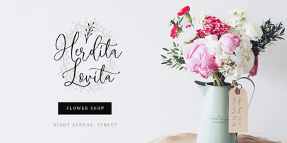 Megadine Font Poster 8