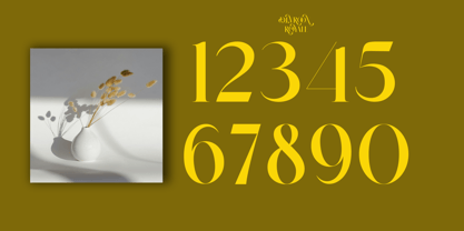 Devroon Royale Font Poster 9