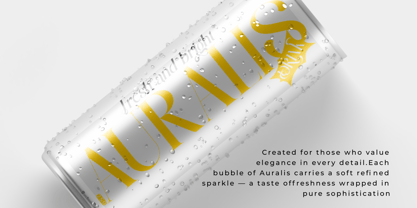 Devroon Royale Font Poster 3