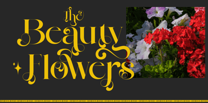 Devroon Royale Font Poster 6