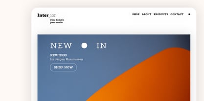 Flink Slab Font Poster 3