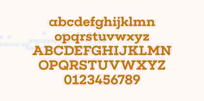 Flink Slab Font Poster 10