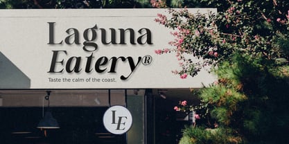 Estin Loftin Font Poster 8