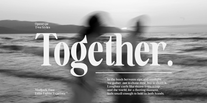 Estin Loftin Font Poster 13