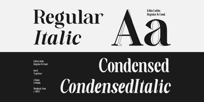 Estin Loftin Font Poster 7