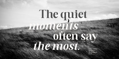 Estin Loftin Font Poster 5