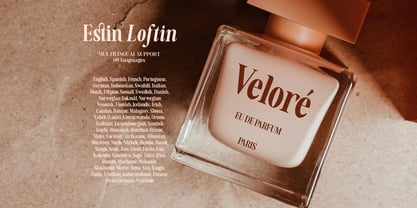 Estin Loftin Font Poster 2