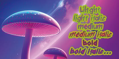 Voice Of Void Font Poster 3