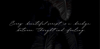 Bonadia Font Poster 5