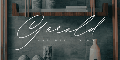 Bonadia Font Poster 13