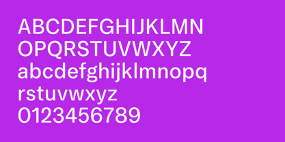 Mongallard Font Poster 6