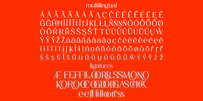 Mosffets Font Poster 11