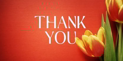 Mosffets Font Poster 12