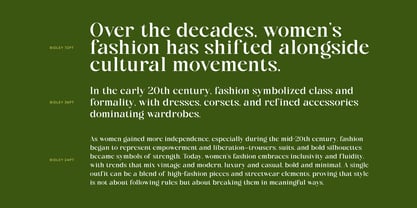 Ridley Font Poster 7