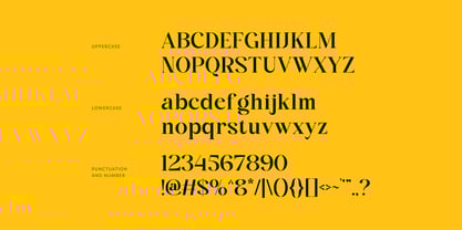 Ridley Font Poster 5