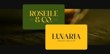 Ridley Font Poster 8