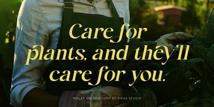 Ridley Font Poster 4