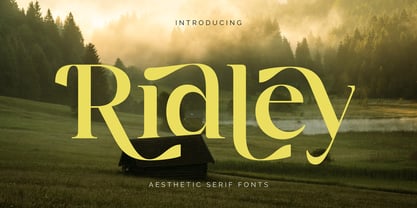 Ridley Font Poster 1