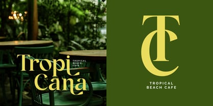 Ridley Font Poster 2