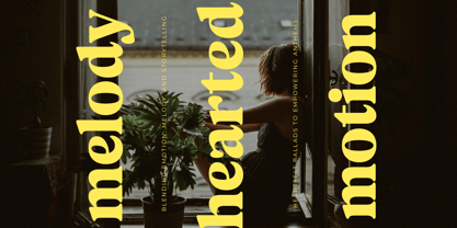 Volkgen Migario Font Poster 9