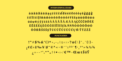 Volkgen Migario Font Poster 14