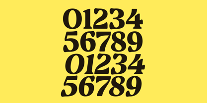 Volkgen Migario Font Poster 10